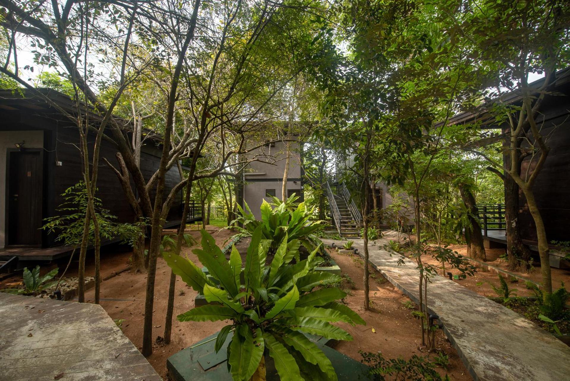 Atha Resort Сигирия Экстерьер фото